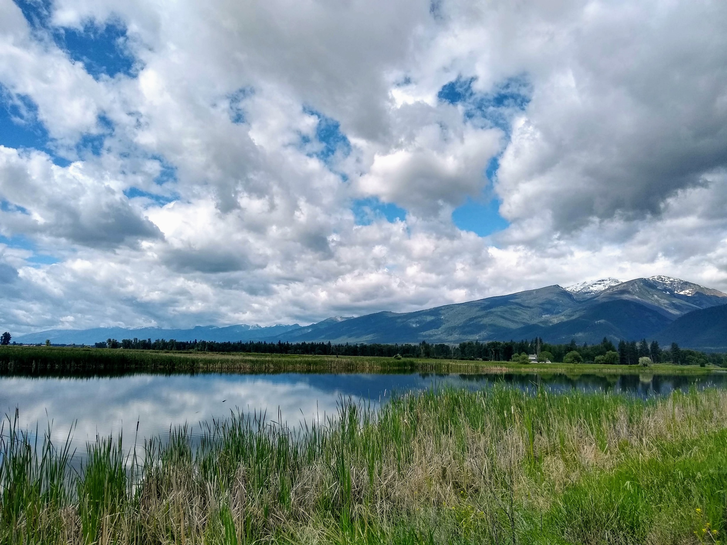 Bitterroot Valley Real Estate and Homes for Sale